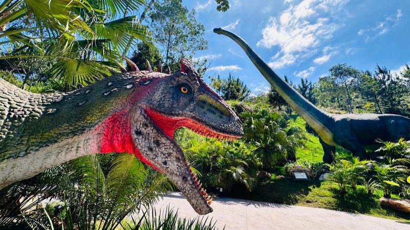 Em uma ampla área verde de quase 30 mil m², Aventura Jurássica completa três anos com ciência, paleontologia e atividades de aventura - Divulgação/Grupo Oceanic/ND