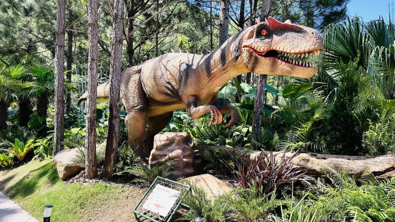 Em uma ampla área verde de quase 30 mil m², Aventura Jurássica completa três anos com ciência, paleontologia e atividades de aventura - Divulgação/Grupo Oceanic/ND