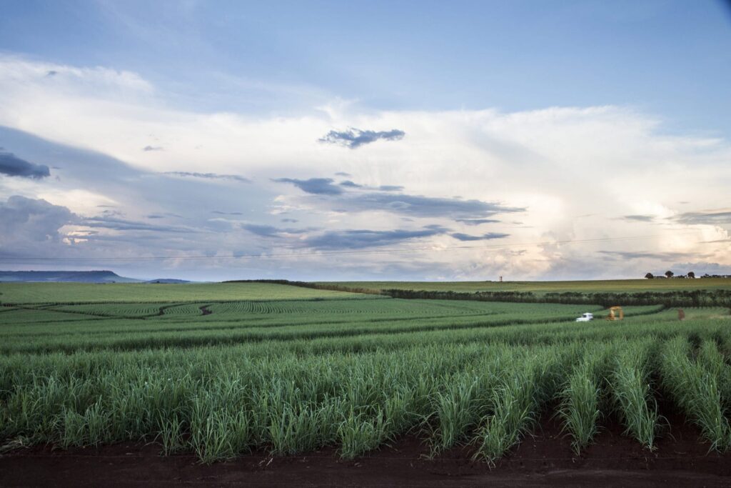 O mundo começa a olhar para o carbono e isto pode mudar tudo para o Brasil