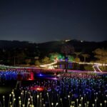 Foto Lumni.Luau - Acontece Gramado