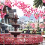 Gramado se consolida entre destinos nacionais mais vendidos no Brasil